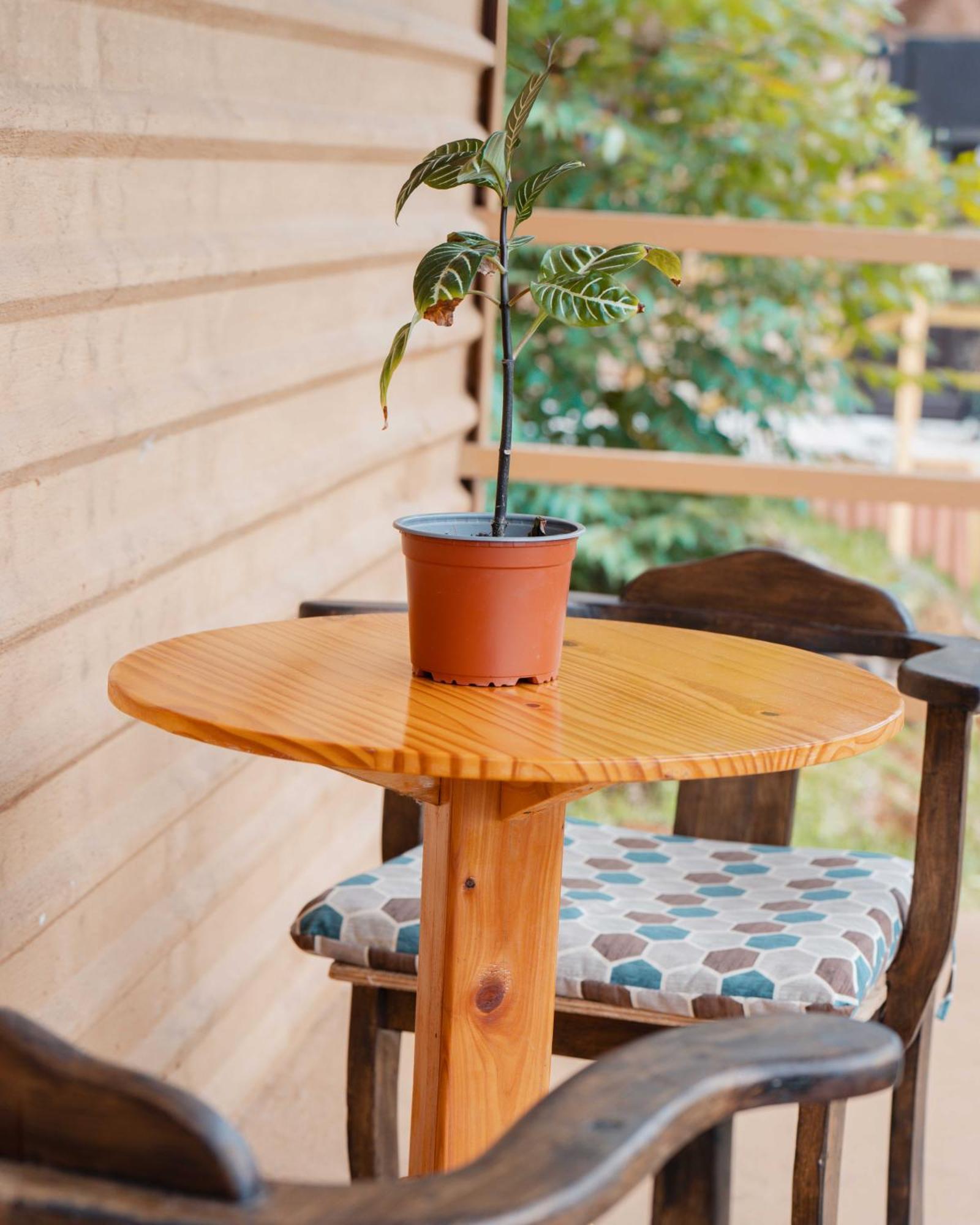 Cabanas La Hacienda San Pablo  외부 사진